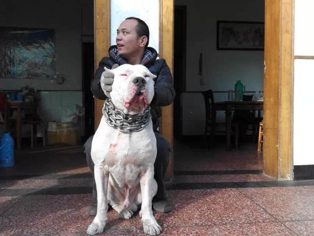 如何训练杜高咬人