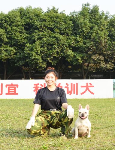 犬类服从性训练