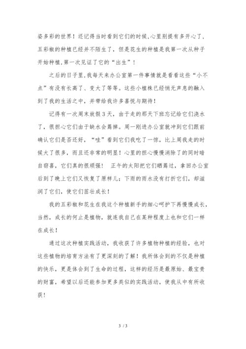 栽培养护的心得