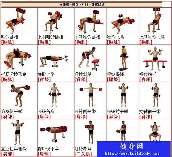 哑铃热身运动图解