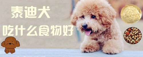 怀孕的狗需要吃什么东西怎么办