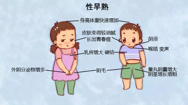 男孩子早熟怎么办