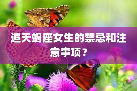 天蝎座女孩子怎么追