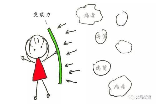 孩子怎么增强免疫力