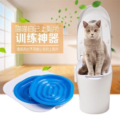 怎么训练猫咪在蹲便器