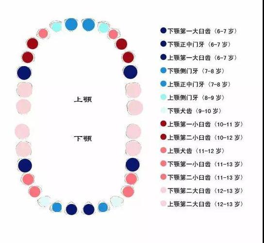 孩子乳牙怎么保存