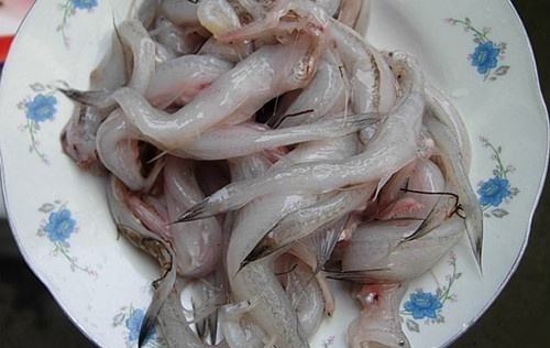 潮汕佃鱼做法