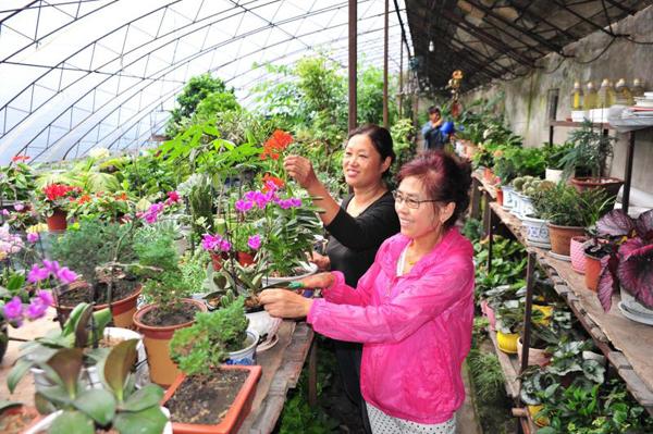 花卉栽培技术大全