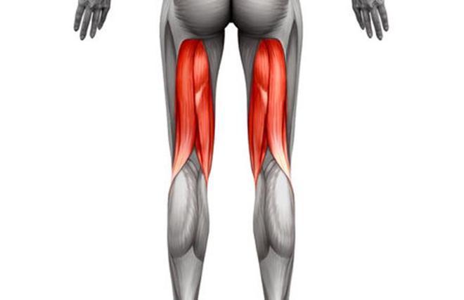 运动大腿肌肉酸痛