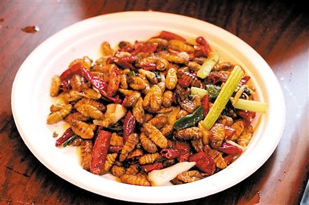 黑蛹的做法