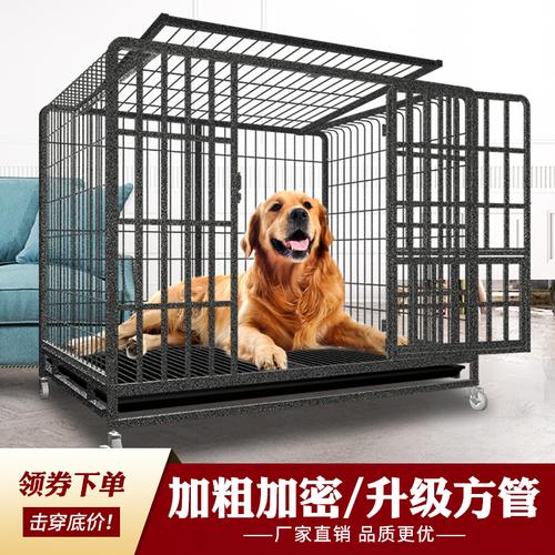 幼犬怎么训练狗笼