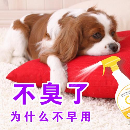 狗狗在室内除臭得东西