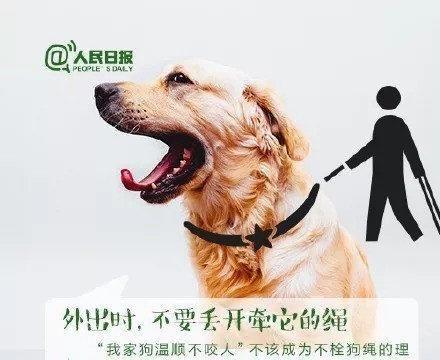 训练狗放掉不乱跑