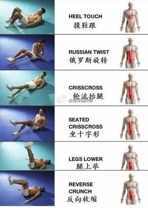 做什么运动可以有腹肌