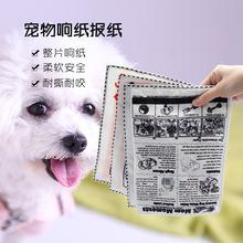 报纸训练狗狗