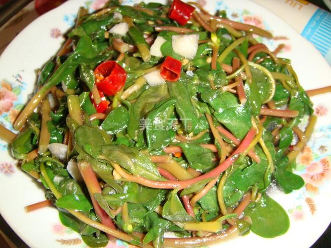 马苋菜的做法