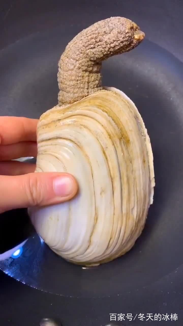 浓汤象拔蚌做法