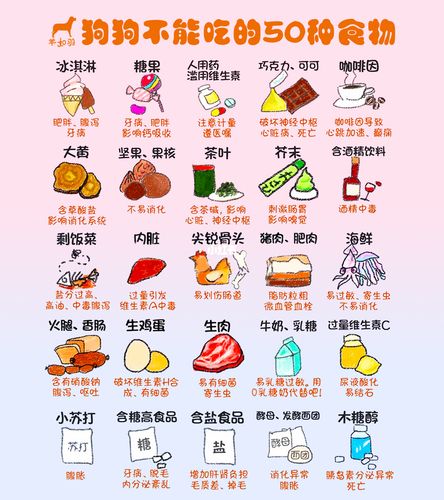 幼犬什么不能吃的东西