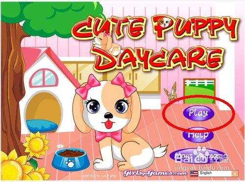 教狗玩猜东西在哪里