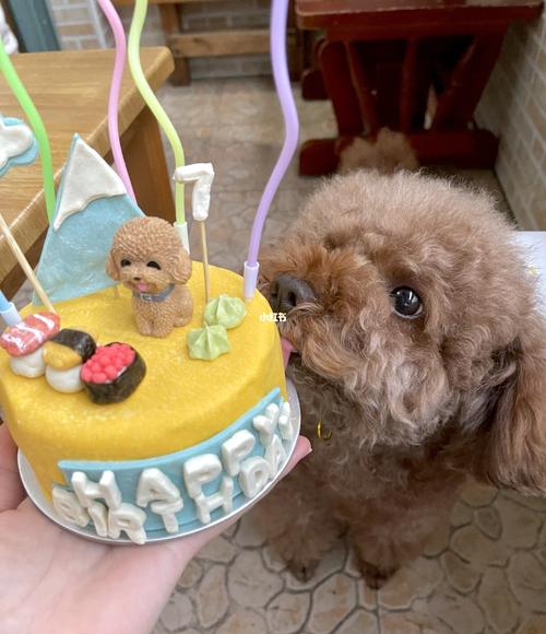 狗过生日买什么东西好