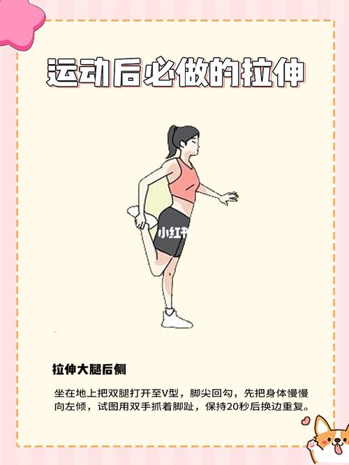 锻炼后的拉伸运动