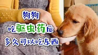 驱虫的东西