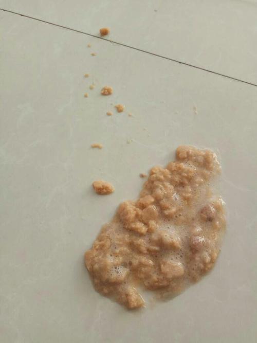 小狗总是干呕不吃东西是什么原因