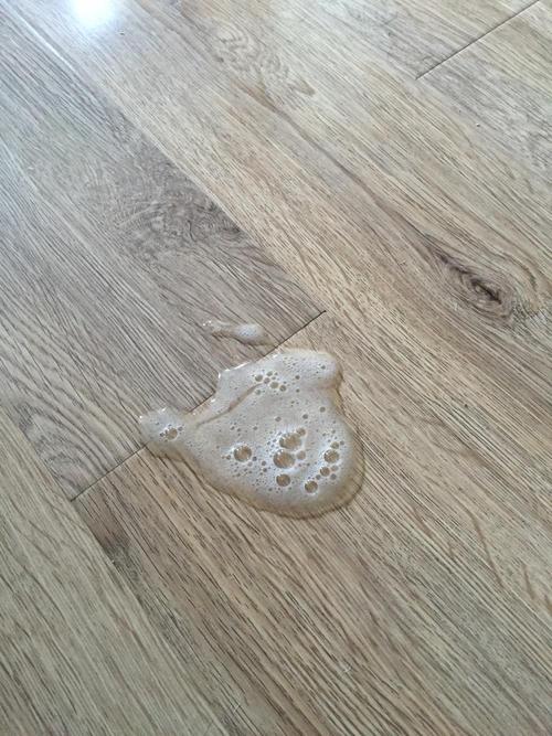 猫拉稀呕吐不吃东西怎么办