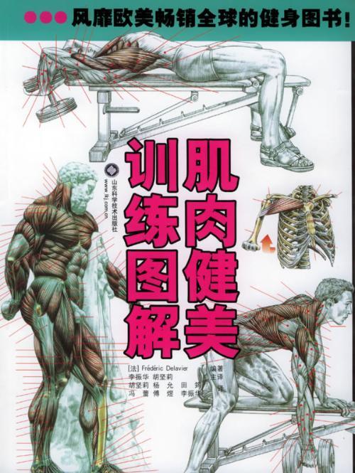 肌肉运动图解