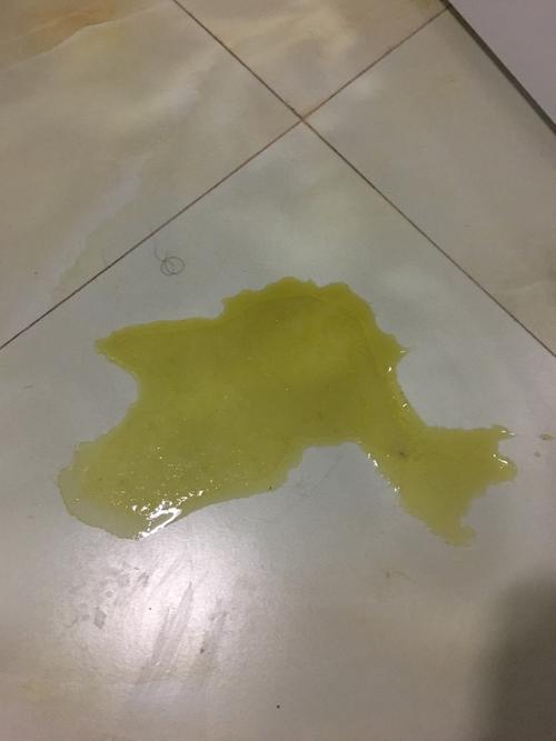 猫咪呕吐拉稀不吃东西精神好