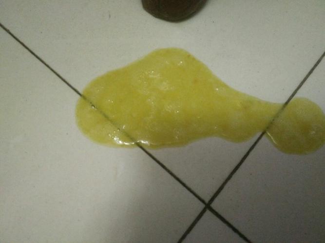 狗狗拉稀呕吐不吃东西怎么办