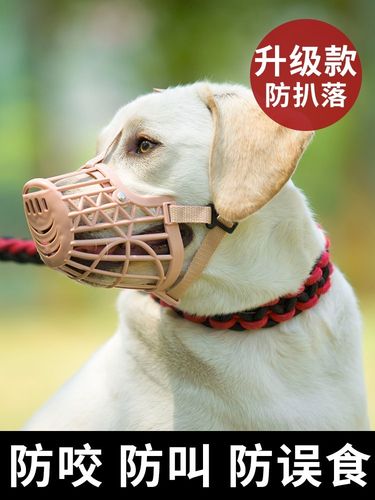 怎样可以防止狗狗咬东西