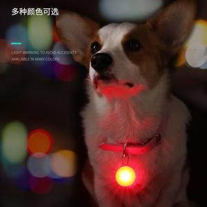怎么训练狗看灯