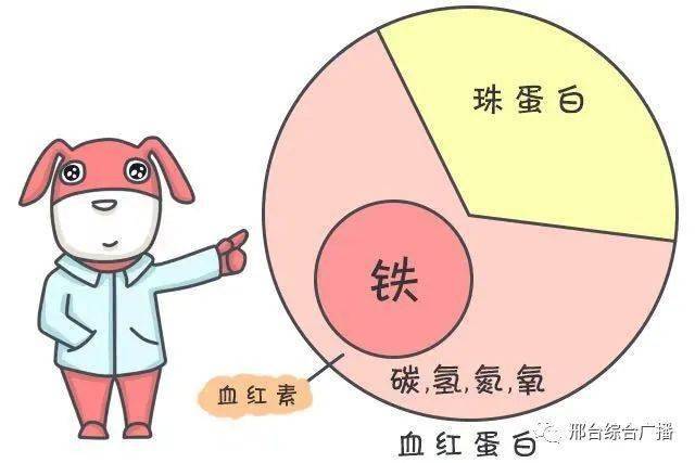 孩子缺铁性贫血怎么办