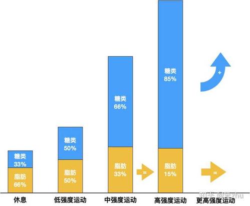 脂肪运动供能
