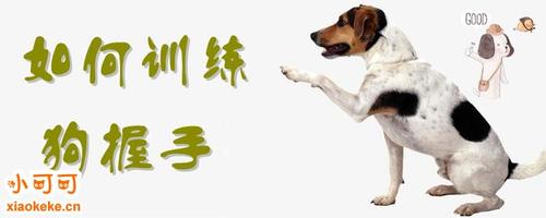 犬的训练方法及手式