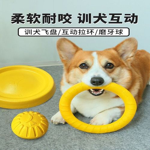 狗咬口怎么训练视频