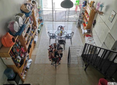 宠物商店需要哪些东西吗