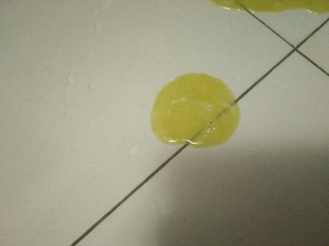 狗狗吐黄水不吃东西还拉肚子
