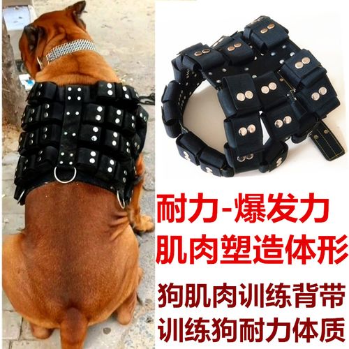大型犬负重训练体力