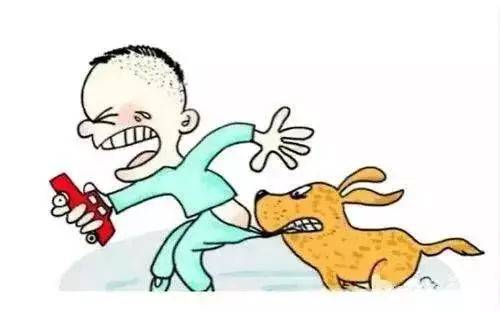 狗狗咬过的东西怎么办