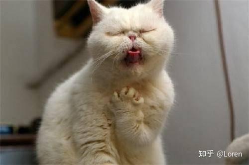 吃完东西后吐怎么治