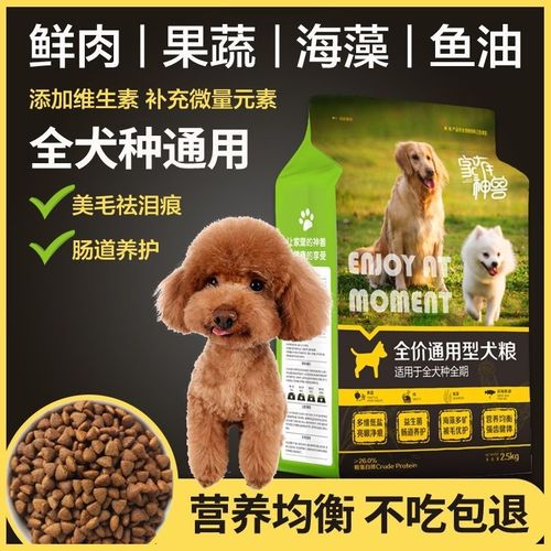 金毛除了狗粮需要什么东西