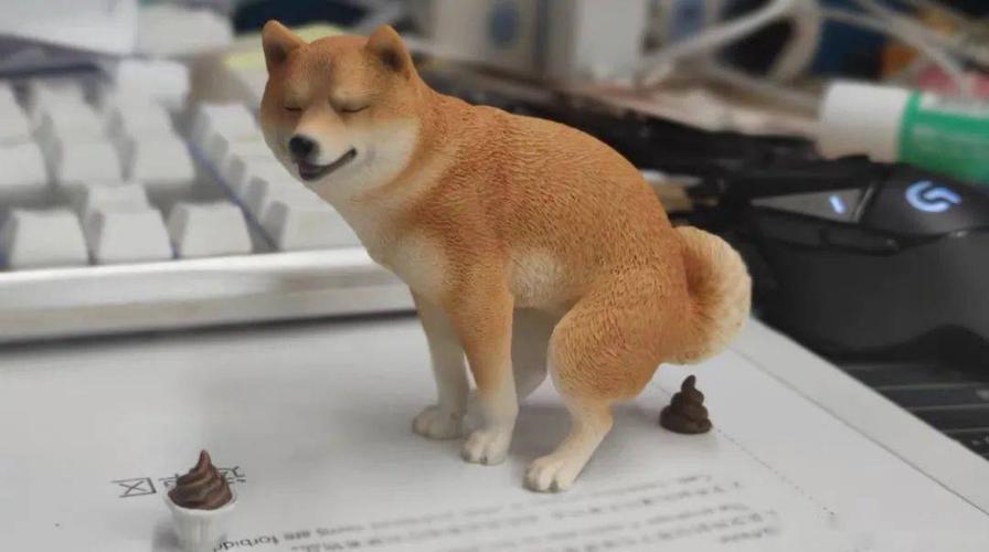 训练狗狗用蹲坑
