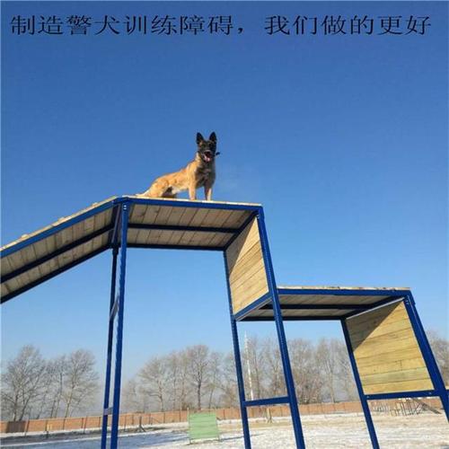 犬道之性训练
