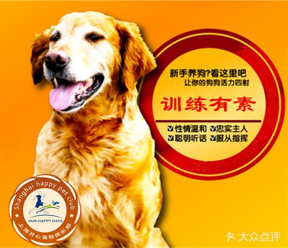 开心宠物寄养训练狗狗学校
