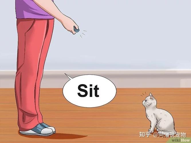 猫 响片 训练