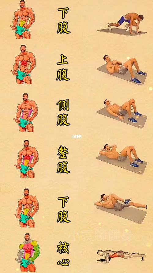 运动过度腹肌