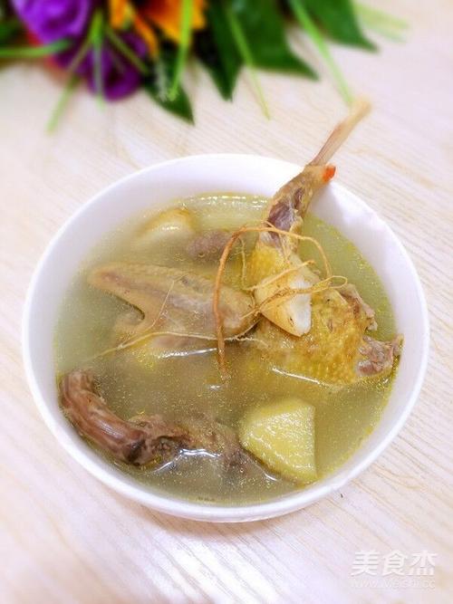 老鸽子汤的做法大全
