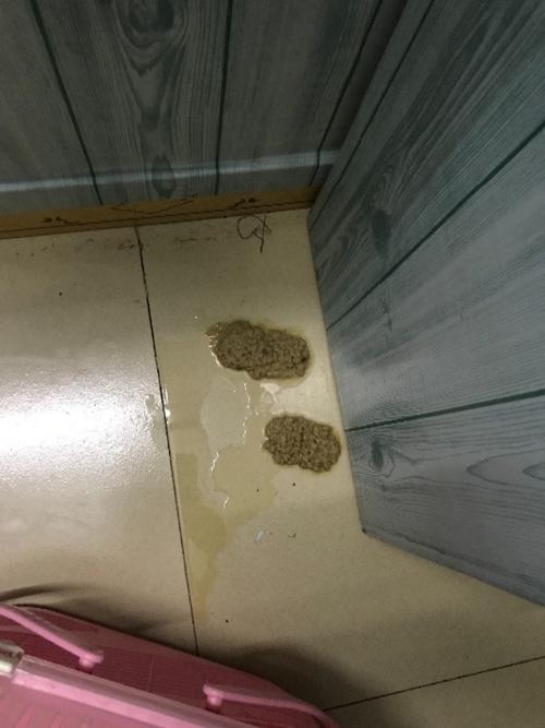 晚上吃错东西都没消化吐出来了